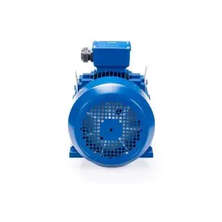 Эл.двигатель ESQ 400 LC4-SDN- 630/1500 IM B3