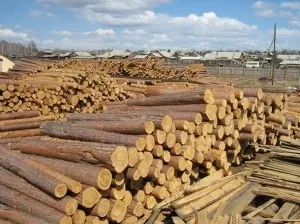 Снизился экспорт лесоматериалов в страны СНГ и дальнего зарубежья