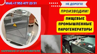 Парогенератор пищевой промышленный