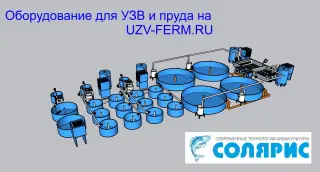 УЗВ на 25 тонн форели в год
