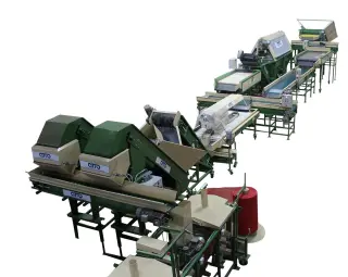 линия для мойки, полировки, сушки, сухой очистки, сортировки, калибровки, фасовки, упаковки овощей, картофеля, моркови, лука, свеклы