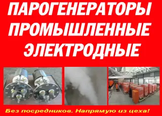 Парогенератор промышленный электродный
