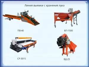 Линия выемки с хранения лука