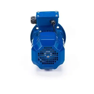 Электродвигатель 5АИ 90 L4 ET 2.2/1500 IM 3081