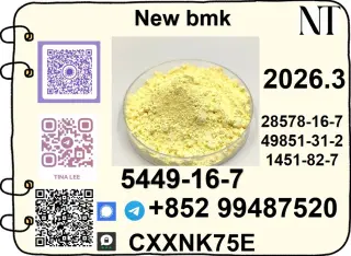 hot Sale B.MK ethyl glycidate CAS 5449-12-7 Good Effect