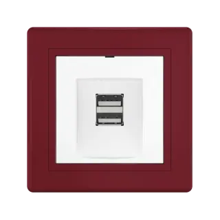Розетка скрытой установки CADUCEUS ALING PRESTIGE двойная, USB, тип А, для зарядки устройств, 2,1А, 5В=, 250В~