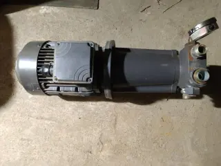 Насос топливный для горелок (для Диз.топ) RIELLO SG 800 (CL 125-160) агрегированный двигателем Lafert AM100L BA4