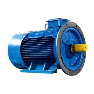 Эл.двигатель 5АИ 315 S2 160/3000 IM 2001