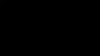 Нвдм-250