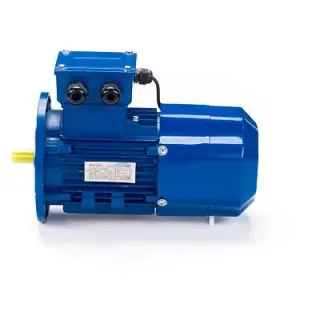 Электродвигатель 5АИ 90 L4 ET 2.2/1500 IM 3081