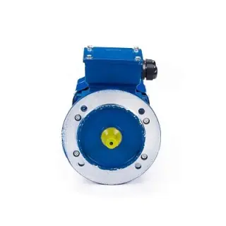 Электродвигатель 5АИ 90 L4 ET 2.2/1500 IM 3081