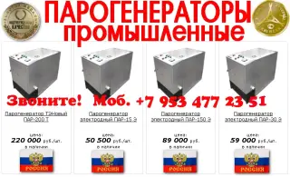 Парогенераторы для пропарочной камеры