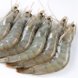 Frozen Vannamei Shrimp