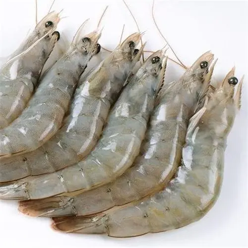 Frozen Vannamei Shrimp