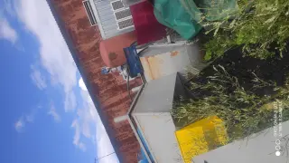 Станок Табакорезка с моторредуктором