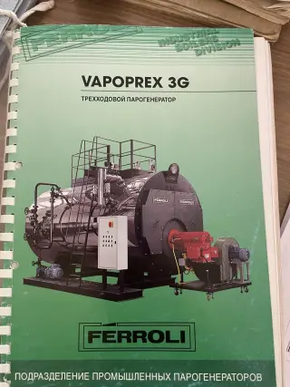 парогенератор (котёл газовый) ferroli