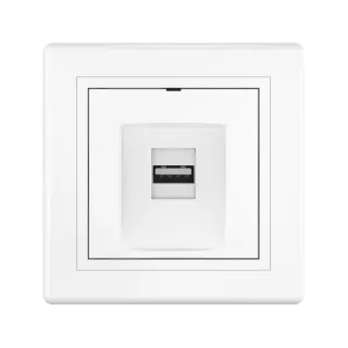 Розетка скрытой установки CADUCEUS ALING PRESTIGE с модулем Keystone USB 2.0 тип А-А, 250В~