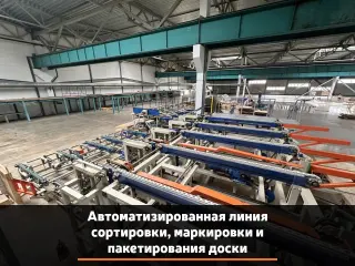 Линия калибровки, маркировки и пакетирования доски