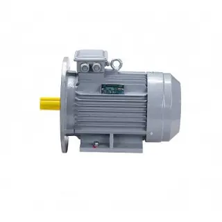 Эл.двигатель ESQ PR 100 L4 GST-Б1-S12-IE2 4/1500 IM 2081
