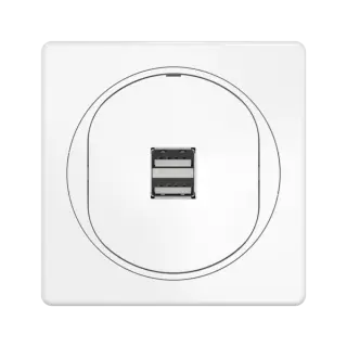 Розетка скрытой установки CADUCEUS ALING EON USB тип A для зарядки устройств, двойная, 2,1А, 5В=, 250В~
