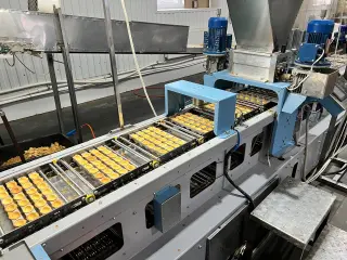 Линия изготовления печенья Орешки