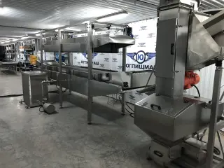универсальную линию обжарки (рыбы, морепродуктов, овощей, сухариков и т.д.)