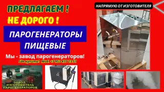 Парогенератор пищевой