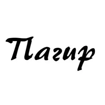ООО «Пагир»