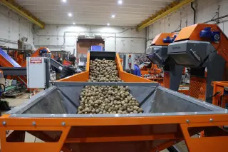 Бункер приёмный для картофеля БП-1500