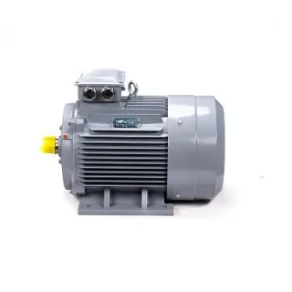Эл.двигатель ESQ PR 180 M4 GST-Б1-S12-IE2 30/1500 IM 1001