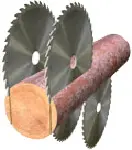 sh-sb2v-01.jpg