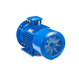Эл.двигатель 5АИ 180 М4 30/1500 IM 2001