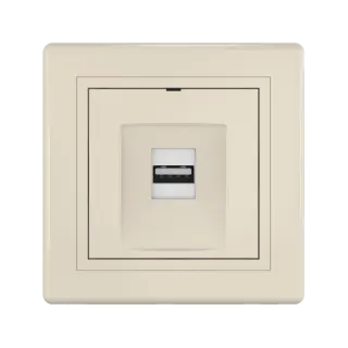 Розетка скрытой установки CADUCEUS ALING PRESTIGE с модулем Keystone USB 2.0 тип А-А, 250В~