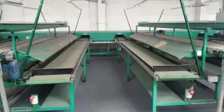 Линия сортировки яблок Greefa CXL 4