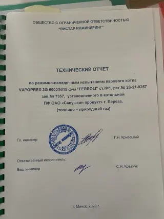 парогенератор (котёл газовый) ferroli