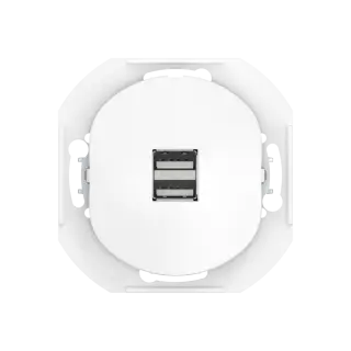 Розетка скрытой установки CADUCEUS ALING EON USB тип A для зарядки устройств, двойная, 2,1А, 5В=, 250В~, механизм