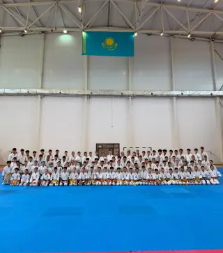 Секции (вставки) башенного крана Potain MC 200A
