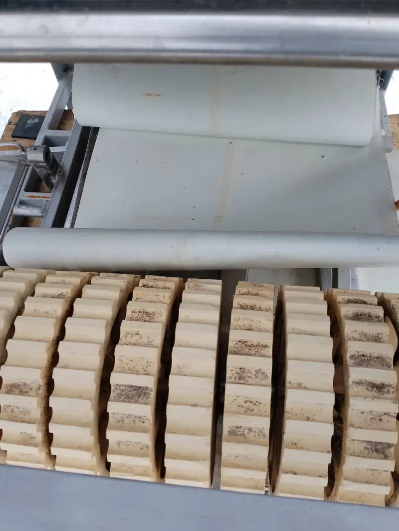 Шкуросъемная машина Weber AS560