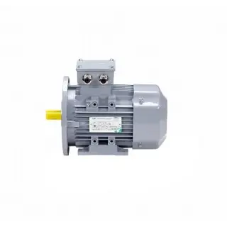 Эл.двигатель ESQ PR 80 В2-SDN-Б1-S12-IE2 1.1/3000 IM B35