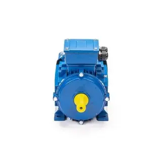Эл.двигатель 5АИ 90 L2 3/3000 IM 1082