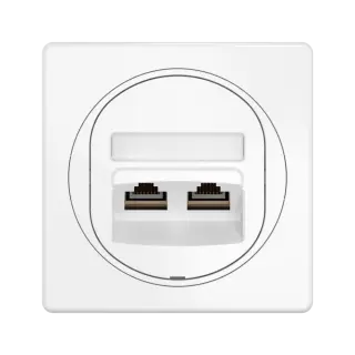 Розетка скрытой установки двойная компьютерная CADUCEUS ALING EON с модулями Keystone RJ45 8P8C, cat.6, FTP