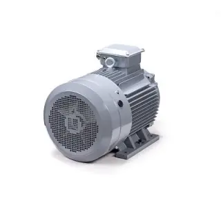 Эл.двигатель ESQ PR 180 M4 GST-Б1-S12-IE2 30/1500 IM 1001