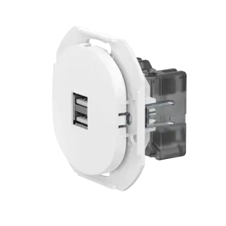 Розетка скрытой установки CADUCEUS ALING EON USB тип A для зарядки устройств, двойная, 2,1А, 5В=, 250В~, механизм