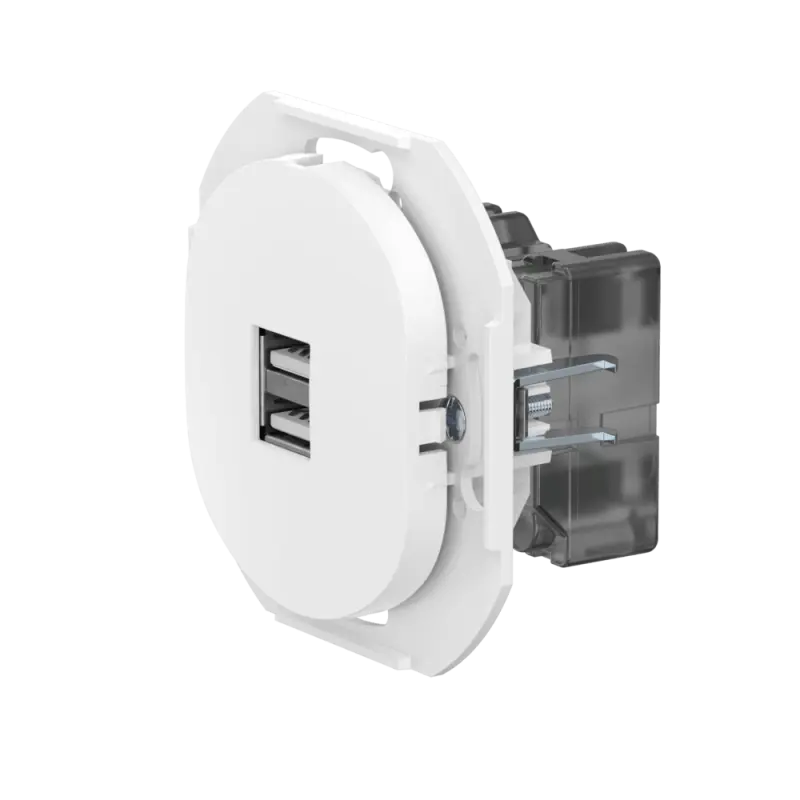 Розетка скрытой установки CADUCEUS ALING EON USB тип A для зарядки устройств, двойная, 2,1А, 5В=, 250В~, механизм