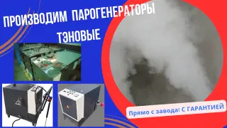 Парогенератор тэновый