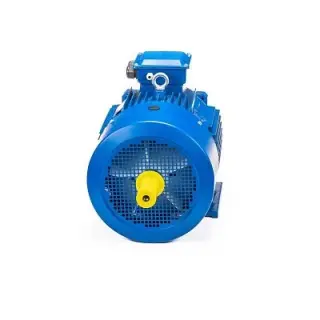 Эл.двигатель 5АИ 180 М4 30/1500 IM 1002