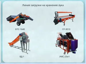 Линия загрузки на хранение лука