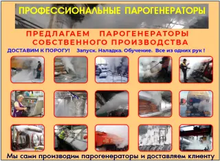 парогенератор профессиональный