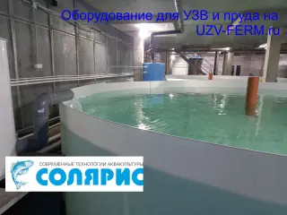 Узв на 500 кг осетра в год