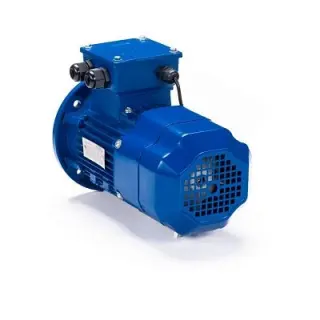 Электродвигатель 5АИ 90 L4 ET 2.2/1500 IM 3081